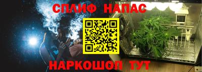 a pvp Тара