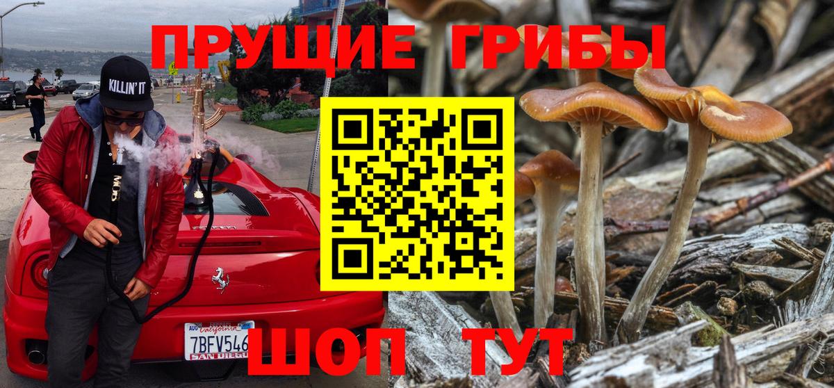 Псилоцибиновые грибы прущие грибы Нефтеюганск